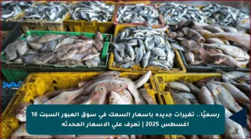 رسميًا.. تغيرات جديدة بأسعار السمك في سوق العبور السبت 16 أغسطس 2025 | تعرف على الأسعار المحدثة